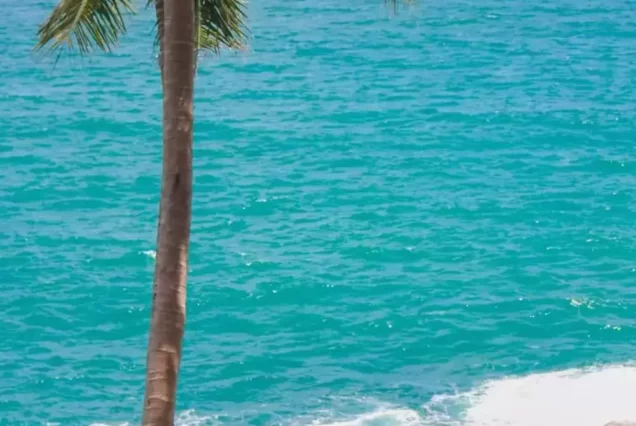 Cafe Phuket View Point