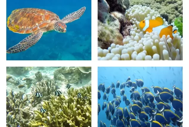 斯米兰海底世界