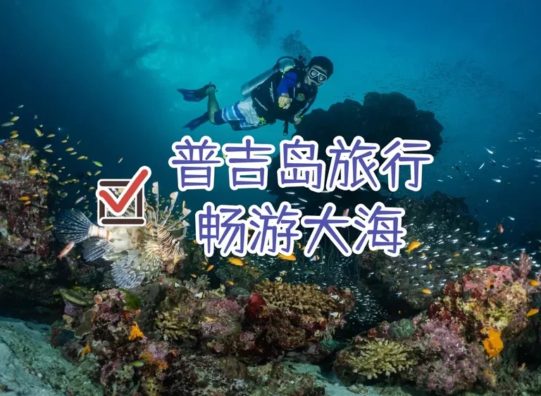 畅游大海