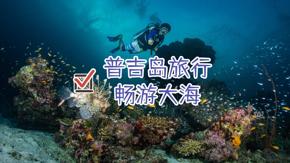 畅游大海